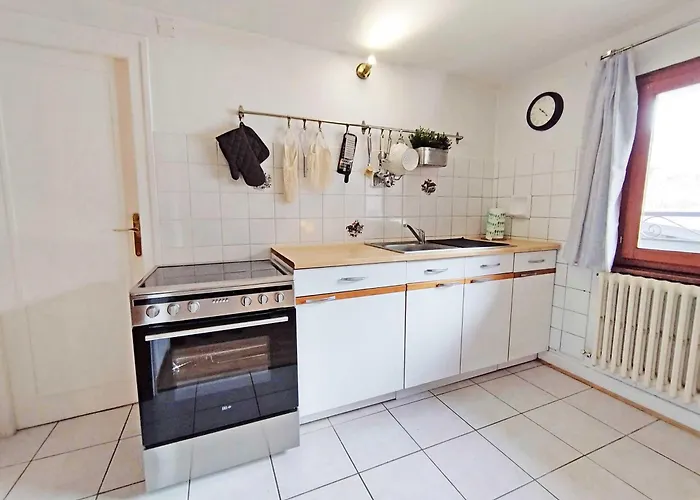 Edelweiss - Year 木屋 霞慕尼